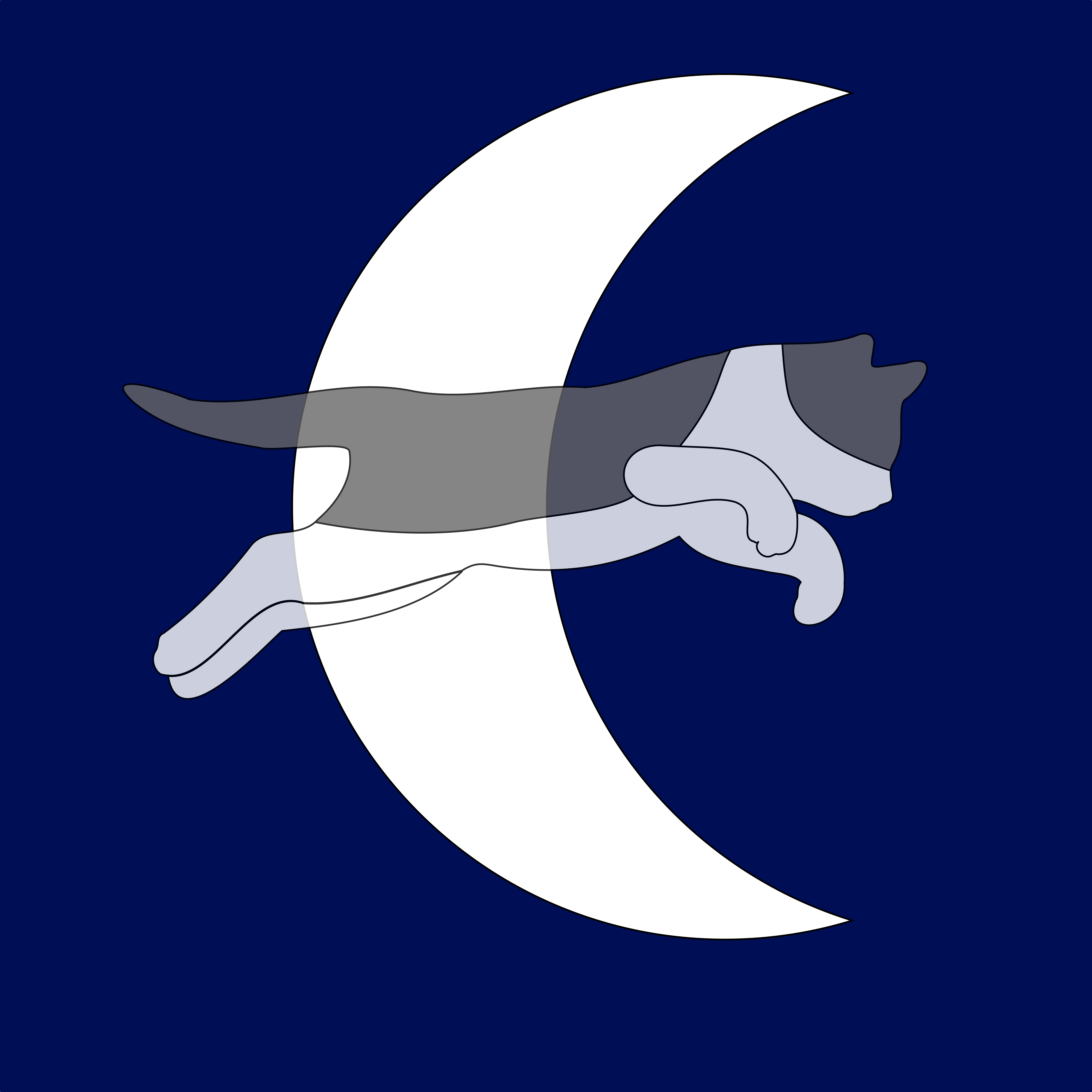 Dulce Luna Toys logo